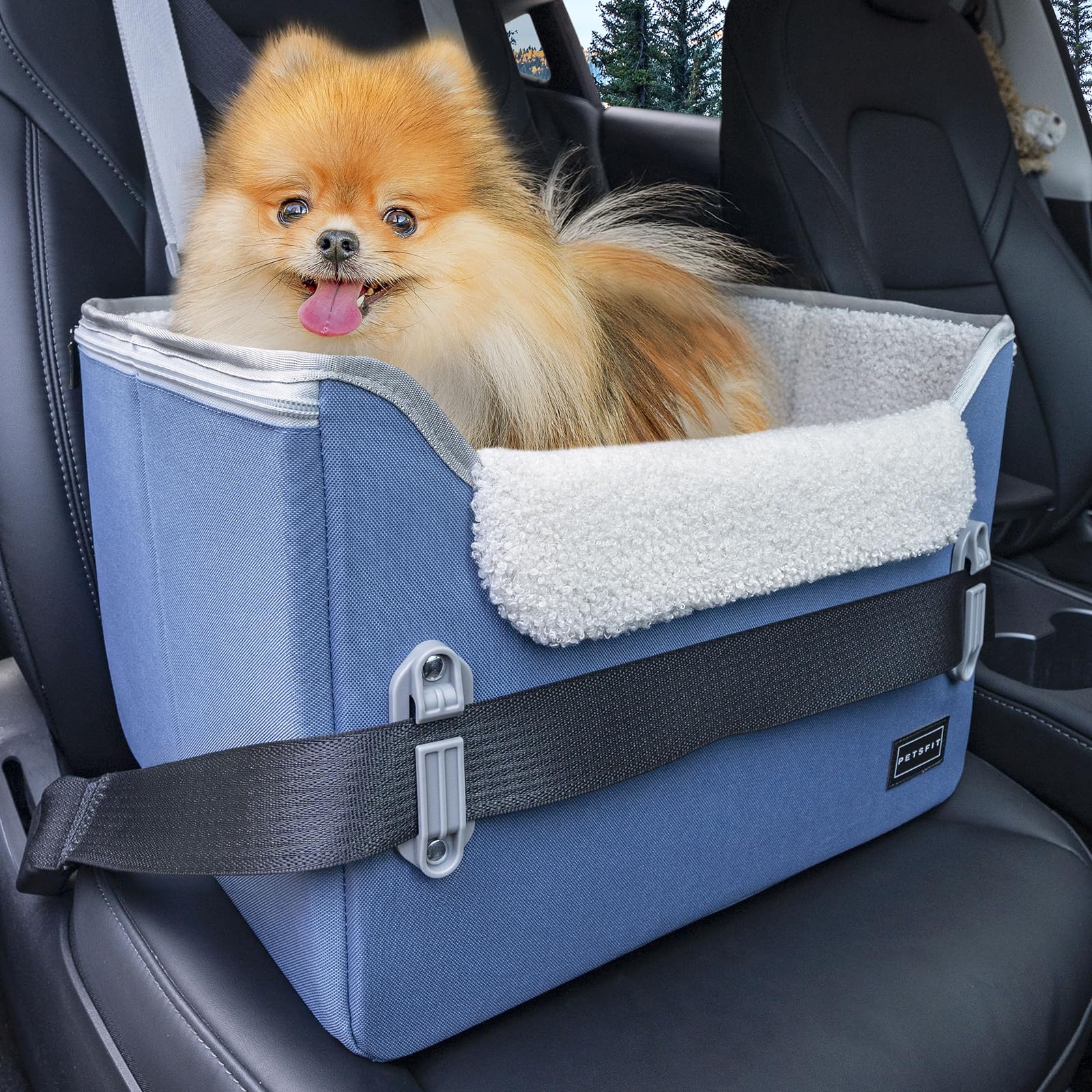 Amazon.co.jp: Petsfit 犬 ドライブボックス 小型犬 2重の安定設計